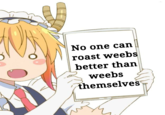 No one can roast weebs better than weebs hemselvess