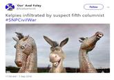 Oor Axel Foley @Roadwarrior29 Followv Kelpies infiltrated by suspect fifth columnist #SNPCivilWar 11:30 AM- 1 Sep 2018