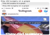 they did surgery on a grape They did surgery on a grape they did surgery on a grape T-Mobile 2:49 PM instagram 2) CO simpledorito they did surgery on a grape