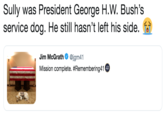 Sully was President George H.W. Bush's service dog. He still hasn't left his side. Jim McGrath Ф @jgm41 Mission complete. #Remember. ng41 4I