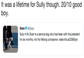 It was a lifetime for Sully though. 20/10 good boy. Slate Ф @Slate Sully H.W. Bush is a service dog who had been with the president for six months, not his lifelong companion: slate.trib.al/Z5BiEye