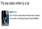 This was clearly written by a cat Slate Ф @Slate Sully H.W. Bush is a service dog who had been with the president for six months, not his lifelong companion: slate.trib.al/Z5BiEye
