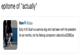 epitome of "actually" Slate Ф @Slate Sully H.W. Bush is a service dog who had been with the president for six months, not his lifelong companion: slate.trib.al/Z5BiEye