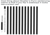 Cool thing about Mueller's Flynn sentencing memo is that if you flip it sideways it looks like a prison cell