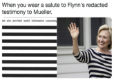 When you wear a salute to Flynn's redacted testimony to Mueller. ant also provided useful information concerning
