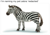 'm naming my pet zebra 'redacted'