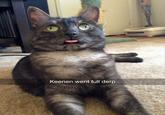"Snapchat":/memes/sites/snapchat of a cat named Keenan making a classic "derp":/memes/derp face. This meme appeared as number 7 in a "44 Strange Memes and Pics...":https://cheezburger.com/7311109/44-strange-memes-and-pics-thatll-get-your-week-started-off-on-a-weird-note list on memebase.