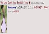 View Same Trace Google Anonymous Tue 01 Aug 2017 23:25:11 No.85764273 Quoted By: >>85764297 iqdb SauceNAO bugs. png, 160KB, 248x454 Report text product font