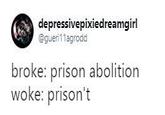 depressivepixiedreamgirl @guerillagrodd broke: prison abolition woke: prison't