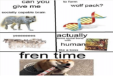 can you to form give me wolf pack? socially capable brain actually forms social bond with human like a boss fren time
