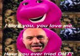 Nove you, you love me. Have you ever tried DMT?