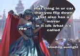 that thing in ur car that you flip down that also has a miror in it idk what it's called me blinding sunlight