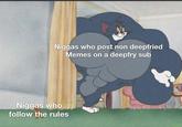 N----- who post non deepfried Memes on a deepfry sub N----- who follow the rules