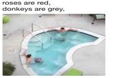 roses are red donkeys are grey,