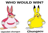 WHO WOULD WIN? Ugandan chungus Chungacu