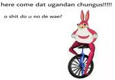 here come dat ugandan chungus!!! o s--- do u no de wae?