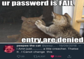 ur passwerd IS is FAIL entry are denied peepee the cat @peep... .19/09/2018 It. I Canot change this 20 06,337 11.6K T 11.6K '↑