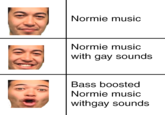 Normie music Normie music with gay sounds Bass boosted Normie music withgay sounds