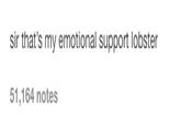 emotional support lobster sir that's my emotional support lobster 51,164 notes