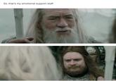 Gandalf Sir, that's my emotional support staff