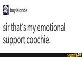 Emotional Support Coochie boylalonde sir that's my emotional support coochie. funny.C