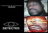HIDDEN DETECTED DETESTED