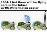 1984: I bet there will be flying cars in the future 2019: Watermelon cooler