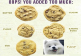 OOPS! YOU ADDED TOO MUCH BUTTER SUGAR BAKING SODA FLOUR EGG FLOOF
