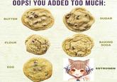 OOPS! YOU ADDED TOO MUCH: BUTTER SUGAR BAKING SODA FLOUR EGG ESTROGEN ミ
