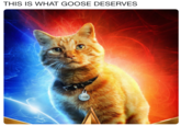 THIS IS WHAT GOOSE DESERVES GOOSE