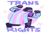 TRANS 辽 RIGHTS