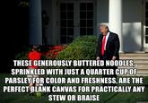 THESE GENEROUSLY BUTTERED NOODLES, SPRINKLED WITH JUST A QUARTER CUPOP PARSLEY FOR COLOR AND FRESHNESS, ARE THE PERFECT BIANK CANVAS FOR PRACTICALLY ANY STEW OR BRAISE memegenerator.net
