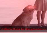 <<Burn Osea to the ground.>>