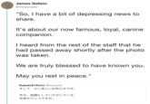 James Galizio @Theswweet "So, I have a bit of depressing news to share It's about our now famous, loyal, canine companion I heard from the rest of the staff that he had passed away shortly after the photo was taken We are truly blessed to have known you May you rest in peace." Kazutoki Kono @kazutoki そして、 少し哀しいお知らせです。 件の、話題にしていただいている、 忠実なワンコですが。