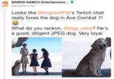 BANDAI NAMCO Entertainment @BandaiNamcoNO BANDA NAMCO Entertainment Looks like @AngriestPat's Twitch chat really loves the dog in Ace Combat 7! What do you reckon, @dog_rates? He's a good, diligent JPEG dog. Very loyal.