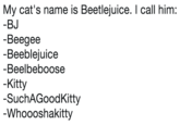 My cat's name is Beetlejuice. I call him: BJ Beegee Beeblejuice Beelbeboose -Kitty -SuchAGoodKitty Whoooshakitty