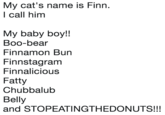 My cat's name is Finn l call himm My baby boy!! Boo-bear Finnamon Bun Finnstagram Finnalicious Fatty Chubbalub Belly and STOPEATINGTHEDONUTS!!!