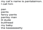 my cat's name is pantalaimon. I call him pan pants fancy pants pantsy man lil dude butthead my baby the keeeeeeetty