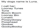 My dogs name is Luna. l call her: Looney Tunes Tuna Boom Boom Looney Bin Lunatic Poopydoopy Poophead Goober GoobyBooby