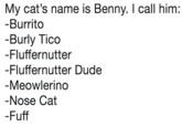 My cat's name is Benny. I call him: Burrito Burly Tico -Fluffernutter -Fluffernutter Dude Meowlerino Nose Cat Fuff