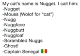 My cat's name is Nugget. I call him: Nugget -Mouss (Wolof for "cat") Nugg Nuggface Nuggbutt Nuggloaf Scrambled Nuggs Ghost! -Captain Senegal -
