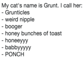 My cat's name is Grunt. I call her: Grunticles - weird nipple booger honey bunches of toast honeeyyy babbyyyyy PONCH