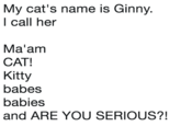 My cat's name is Ginny. l call her Ma'am CAT! Kitty babes babies and ARE YOU SERIOUS?!