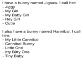 I have a bunny named Jigsaw. I call her: Jiggy My Girl - My Baby Girl Hey Girl Cutie I also have a bunny named Hannibal. I call him: - My Little Cannibal - Cannibal Bunny Little One Itty Bitty One Tiny Baby