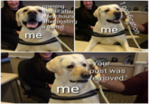 opening Reddit after a few hours after posting a meme me me I0 our post was removed" me