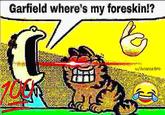 Garfield where's my foreskin!? u/AviatorBro