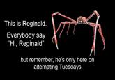 This is Reginald. Everybody say "Hi, Reginald" but remember, he's only here on alternating Tuesdays
