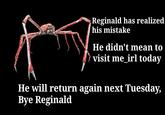 Reginald has realized his mistake He didn't mean to visit me irl today He will return again next Tuesday, Bye Reginald