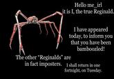 Hello me irl it is I, the true Reginald I have appeared today, to inform you that you have been bamboozled! The other "Reginald s" are in fact imposters. I shall return in one fortnight, on Tuesday.