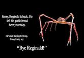 Sorry, Reginald is back. He left his garlic bread here yesterday. He's not staying for long. Everyboday say "Bye Reginald!" (C